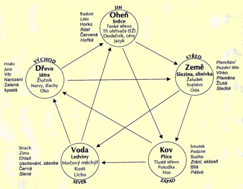 Tradiční čínská medicína